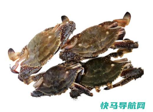 一只半斤的梭子蟹能蒸？梭子蟹青壳还是黄壳好